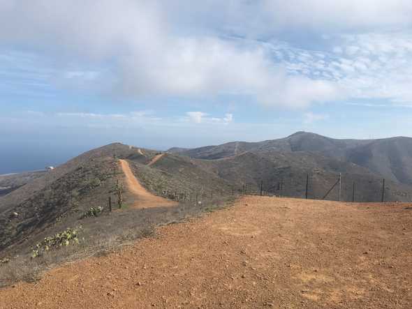 Trail