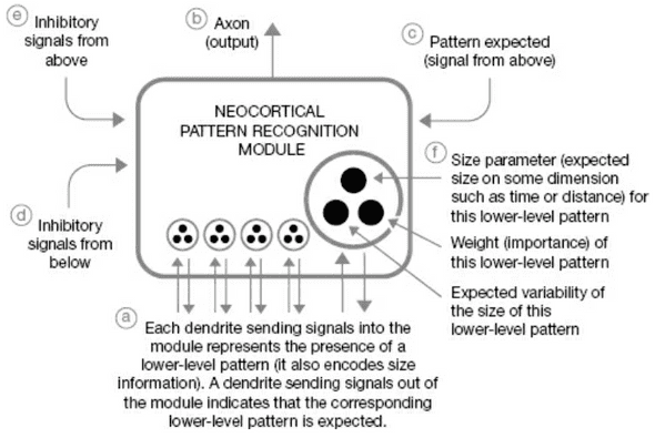 Diagram of a pattern recognizer